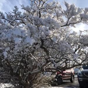 Meet your Posher, Shari